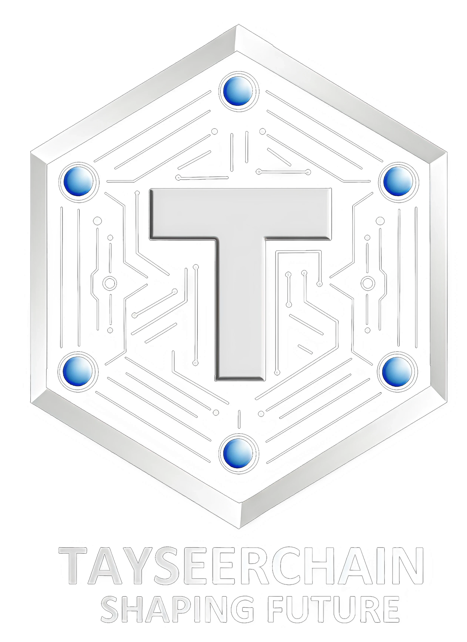TAYSEERCHAIN